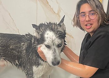 Dog's Land Nice image 2 Meilleurs Salons de Toilettage De Chien à Nice Dog's Land Nice image 2