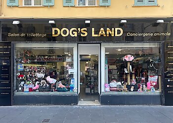 Nice Dog Grooming Dog's Land Nice image 1