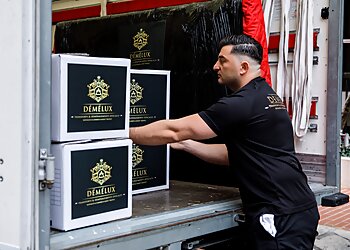 DÉMÉLUX image 2 Nice Moving Companies DÉMÉLUX image 2