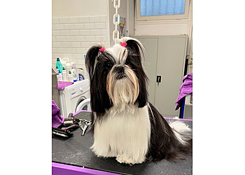 Entre 2 Bonnes Pattes image 3 Le Havre Dog Grooming Entre 2 Bonnes Pattes image 3