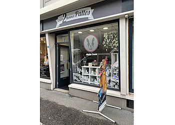 Le Havre Dog Grooming Entre 2 Bonnes Pattes image 1