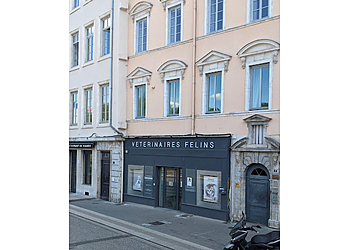 Entrechats Vétérinaires Félins Lyon image 1 Meilleurs Cliniques Vétérinaires à Lyon Entrechats Vétérinaires Félins Lyon image 1