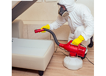 Eradication Nuisibles France image 2 Toulouse Pest Control Eradication Nuisibles France image 2