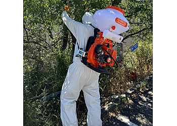 Toulouse Pest Control Eradication Nuisibles France  image 1