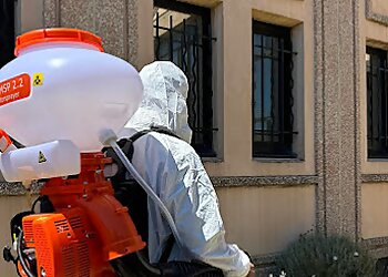 Eradication Nuisibles Lyon image 2 Lyon Pest Control Eradication Nuisibles Lyon image 2