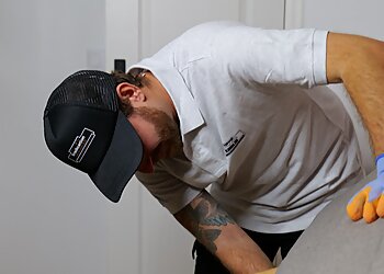 Eradication Nuisibles Marseille image 3 Marseille Pest Control Eradication Nuisibles Marseille image 3