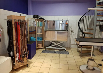 Espace canin image 2 Reims Dog Grooming Espace canin image 2