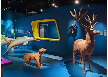 Espace des Sciences image 3 Rennes Places To Visit Espace des Sciences image 3