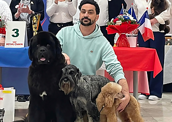 Excalicwouaf Cyril Guérillon image 2 Nantes Dog Grooming Excalicwouaf Cyril Guérillon image 2