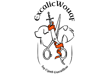 Excalicwouaf Cyril Guérillon image 3 Nantes Dog Grooming Excalicwouaf Cyril Guérillon image 3