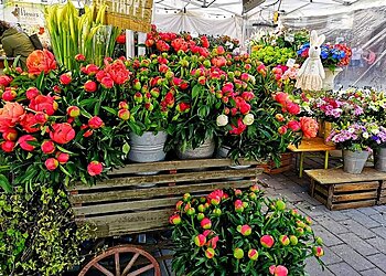 Fleurs De Pays image 3 Strasbourg Florists Fleurs De Pays image 3