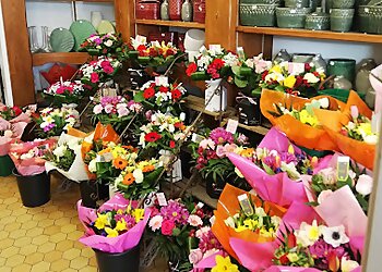 Fleurs de Lotus image 3 Le Havre Florists Fleurs de Lotus image 3