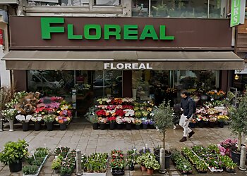 Floréal image 2 Meilleurs Fleuristes à Reims Floréal image 2