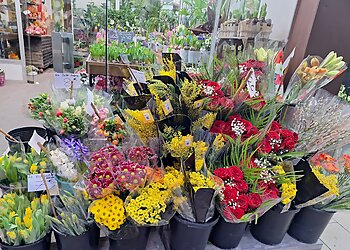 Floréal image 3 Meilleurs Fleuristes à Reims Floréal image 3