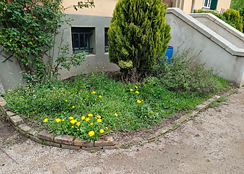 Forez Vert image 2 Meilleures Paysagistes à Saint-Étienne Forez Vert image 2