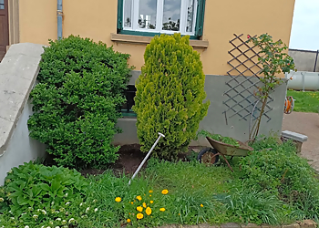 Meilleures Paysagistes à Saint-Étienne Forez Vert image 1