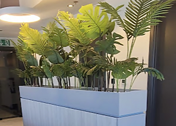 Groupe Français Des Assurances image 3 Meilleurs Courtiers D'Assurance à Toulouse Groupe Français Des Assurances image 3