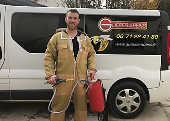 Guêpes-Apens image 2 Meilleurs Anti Nuisibles à Reims Guêpes-Apens image 2