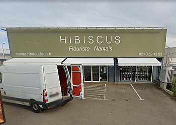 Hibiscus Fleurs image 2 Meilleurs Fleuristes à Nantes Hibiscus Fleurs image 2