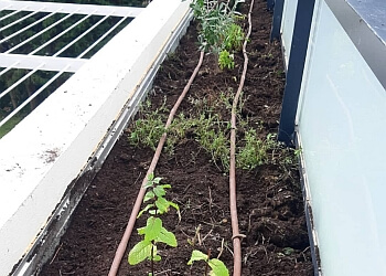 Hortus & Canis image 3 Nice Landscaping Companies Hortus & Canis image 3