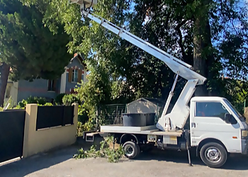 Innov'Riviera image 2 Meilleures Paysagistes à Nice Innov'Riviera image 2