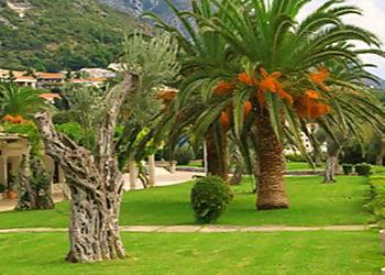 Meilleures Paysagistes à Nice Innov'Riviera image 1