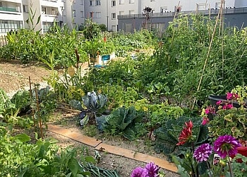 Instant Culture image 2 Saint-Denis Landscaping Companies Instant Culture image 2