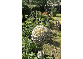 Instant Culture image 3 Saint-Denis Landscaping Companies Instant Culture image 3