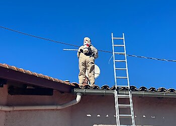 Interventions Nuisibles image 2 Meilleurs Anti Nuisibles à Toulouse Interventions Nuisibles image 2