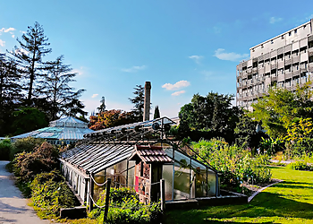 Jardin Botanique de l'université de Strasbourg image 3 Meilleurs Lieux À Visiter à Strasbourg Jardin Botanique de l'université de Strasbourg image 3
