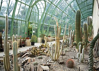 Jardin Des Plantes De Montpellier image 3 Meilleurs Lieux À Visiter à Montpellier Jardin Des Plantes De Montpellier image 3