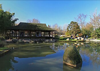 Meilleurs Lieux À Visiter à Toulouse Jardin japonais Pierre-Baudis image 1