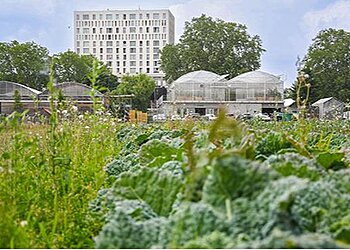 Jardins De Gally Paris Est image 3 Saint-Denis Landscaping Companies Jardins De Gally Paris Est image 3