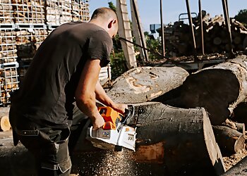 Juliette Banville Photographe image 3 Le Havre Photographers Juliette Banville Photographe image 3