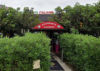 L'Eléphant Nîmes image 2 Meilleurs Restaurants Italiens à Nîmes L'Eléphant Nîmes image 2