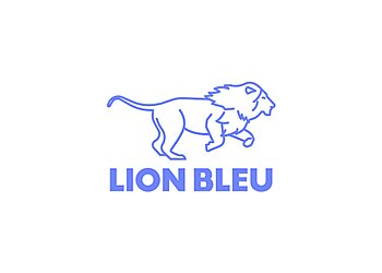 Strasbourg Marketing Agencies LION BLEU  image 1