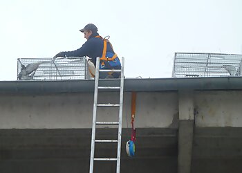 La CAMDA image 3 Meilleurs Anti Nuisibles à Reims La CAMDA image 3