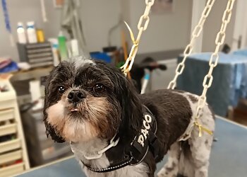 La Cabotière image 3 Lille Dog Grooming La Cabotière image 3