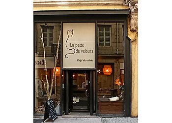 La Patte De Velours image 2 Meilleur Café à Saint-Étienne La Patte De Velours image 2