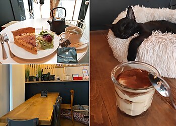 La Patte De Velours image 3 Meilleur Café à Saint-Étienne La Patte De Velours image 3