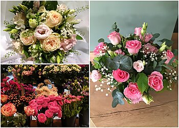 La Ronde des Fleurs image 3 Rennes Florists La Ronde des Fleurs image 3