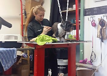 La Toutounière Rennes image 2 Rennes Dog Grooming La Toutounière Rennes image 2