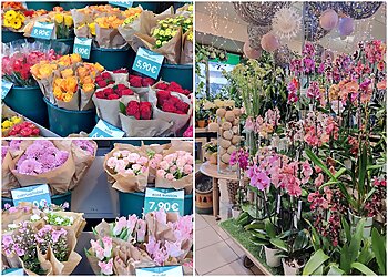 Le Jardin Des Fleurs image 3 Rennes Florists Le Jardin Des Fleurs image 3