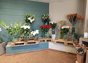 Le Jardin des Fleurs image 3 Meilleurs Fleuristes à Bordeaux Le Jardin des Fleurs image 3