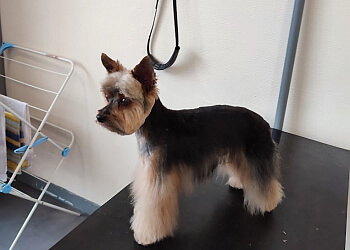 Lebair Nathalie image 2 Rennes Dog Grooming Lebair Nathalie image 2