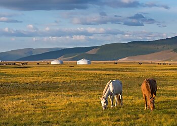 Les Covoyageurs image 2 Meilleures Agences De Voyage à Montpellier Les Covoyageurs image 2