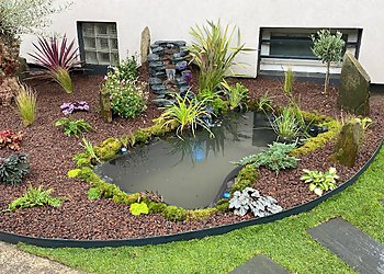 Les Jardins De Gingko image 2 Meilleures Paysagistes à Saint-Denis Les Jardins De Gingko image 2