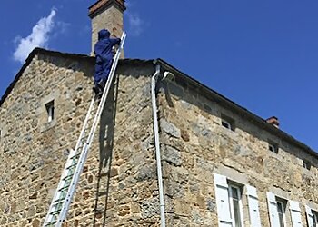 Loire Guêpes & Nuisibles image 2 Meilleurs Anti Nuisibles à Saint-Étienne Loire Guêpes & Nuisibles image 2