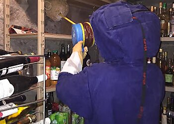 Loire Guêpes & Nuisibles image 3 Meilleurs Anti Nuisibles à Saint-Étienne Loire Guêpes & Nuisibles image 3