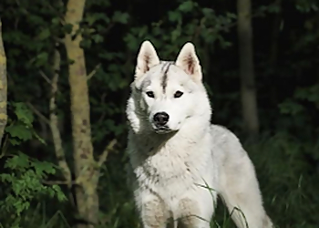 Louis Latouche Photographe image 3 Meilleurs Photographes à Lille Louis Latouche Photographe image 3